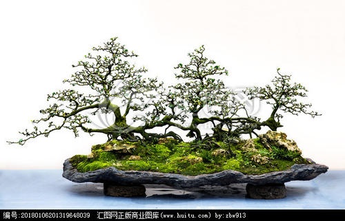 u=105976986,1107986617&fm=15&gp=0.jpg